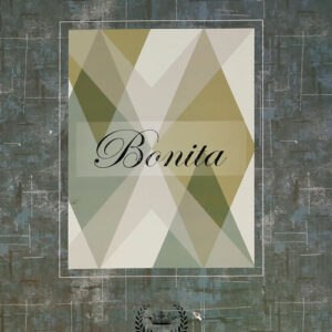 آلبوم کاغذ دیواری بونیتا Bonita